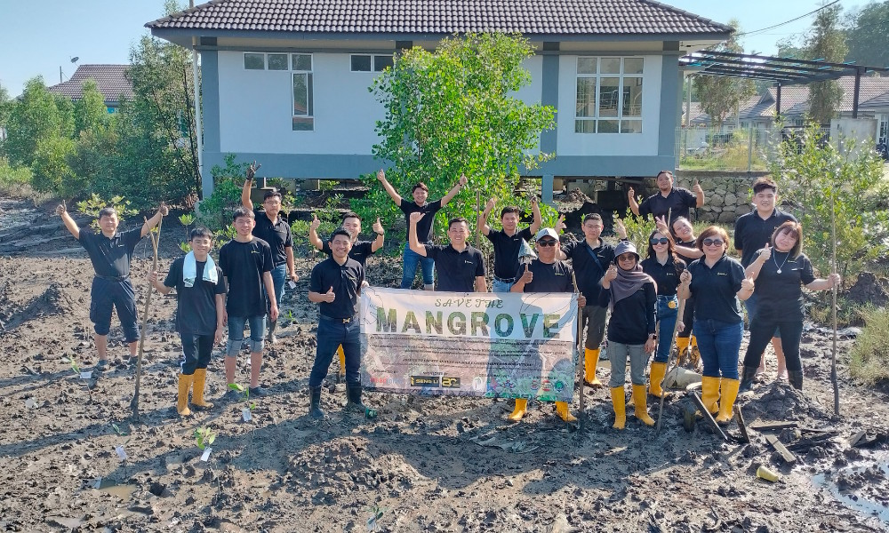 Save the Mangrove 1.0